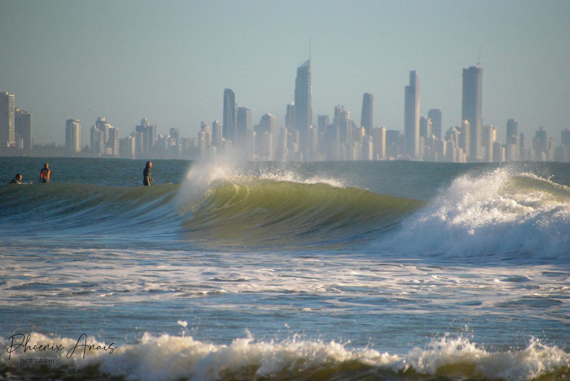 large wave on the gold coast australia and modern buildings skyline in the background